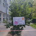 Vrednim rukama učenika nastala zelena oaza u školskom dvorištu : Budući farmaceuti Medicinske škole otvorili svoju Botaničku…