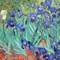 Želite li da meditirate sa Van Gogom? Muzej Geti pokrenuo zanimljiv podkast