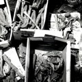 Šta da radite kad pronađete 40.000 tela sahranjenih ispod kuće