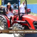 Srpska posla upravo na Blic TV! Urnebes u Arilju! Aleksandra se ubola, a krave bežale od nje: "Ja nisam za ove poslove!"