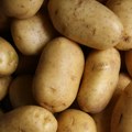 Flamanske vlasti pokrenule tehno kampanju da podstaknu mlade da jedu više krompira