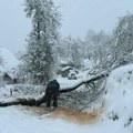 Problemi zbog olujnog vetra i snega: Više od 10.000 korisnika u Srbiji trenutno bez struje