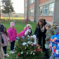 Eko-pokret Srbije poklonio jelku i solarne sijalice prvacima u Laćarku