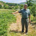 Na njegovom gazdinstvu uspeva svako povrće! Zakoračio u osmu deceniju, ali ne odustaje od rada na njivi: Hajrudin je najbolji…