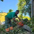 JKP „Šumadija“ još uvek radi na otklanjanju posledica nevremena