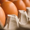 Kriza koja se ne pamti: Nemci ostaju bez jaja uoči Uskrsa, omiljena namirnica postaje luksuz
