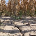 Pokret Juga Srbije: Država da planira unapred i zaštiti jug od suša