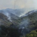 Požar uništio autohtono šumsko zemljište: Vatra "progutala" stanište desetina osetljivih vrsta