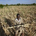 Zimbabve proglasio nacionalnu katastrofu zbog suše: Preti glad