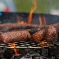 Roštiljate na Fruškoj Gori? Ovo je strogo zabranjeno, može da dovede do krivičnog postupka!