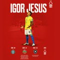 Igor u Notingem Forestu za 11 miliona