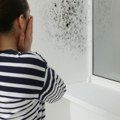 Sitnice koje uništavaju dom Stručnjak otkriva šta sve radimo u jesen zbog čega se u kući stvara vlaga i buđ – i kako to…