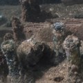 VIDEO: Posle više od 160 godina kod olupine broda pronađena neoštećena flaša piva "Ginis London"