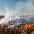 Šumski požari na više lokacija u bijelom polju: Ugrožene kuće i pomoćni objekti