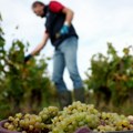 Kako klimatske promene utiču na privredu Srbije