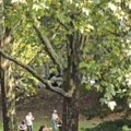 Detalji horora u Esenu: Dečak (17) sa Kosova tražio od nastavnice da pričaju, a onda je izbo ispred učionice! Otkriveno zašto…