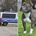 Porodični pas napao i izujedao nasmrt devojčicu (4): Tragedija u Nemačkoj, majka deteta odmah uhapšena