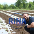 Kralj dinja u dolini pored reke Zapadne Morave: Aničići na preko jednog hektara posadili ovo sočno voće, proizvodnja može…