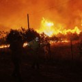 Nakon 17 dana pakla: Veliki šumski požar na severoistoku Grčke postepeno jenjava - vatra je opustošila šume