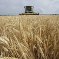 Mađarska u dogovoru sa Rumunijom, Slovačkom i Bugarskom zabranjuje uvoz žitarica iz Ukrajine