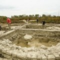 Arheolozi u Vojvodini došli do izuzetnog otkrića – izronio lik drevnog čudovišta /foto/