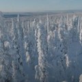 Bila je to najhladnija zima u Evropi: Stotine hiljada ljudi je umrlo, smrznute ptice padale su s neba, vukovi ulazili u sela i…