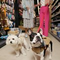 Pet Network International preuzima Pet Republic Group: Nova faza razvoja ljubavi prema kućnim ljubimcima u Srbiji