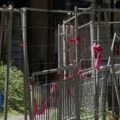 Beograd u razvaljenom stanju, Šapićev saradnik ponovo osuđen, gradnonačelnika „ni od korova“