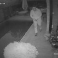 "Pažnja, snima se!" Muškarac uhvaćen kako se šunja dvorištem u Novom Sadu, a potom upada u kuće: "Krade novac i vrednosti!" -…
