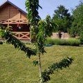 (Foto) ovo je kuća naše voditeljke u moštanici: Tu provodi dane u penziji: "Primam 53.000 dinara mesečno, plate se računi i…