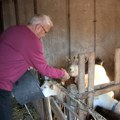 Folker hoće da zaradi od prodaje drva: Prepustio sinu biznis, sad vodi seoski život i krči imanje: "Cena je povoljna"
