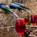 Fontana iz snova: Besplatno vino teče u potocima, turisti su u čudu - italijanska atrakcija privlači sve više ljudi