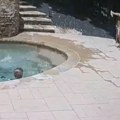 "Beži mama" majku sekunde delile od smrti: Sin (10) reagovao u poslednjem momentu i sprečio jezivu tragediju (video)