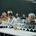 Zašto svet sve više govori o vinima Srbije i Balkana: Jedinstveni pečat autohtonih sorti