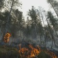 Požari na više lokacija, gore hektari šume, u gašenju angažovani i helikopteri MUP-a