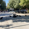 Čopori pasa u centru Prokuplja zabrinjavaju prolaznike: Rešenje se čeka sa izgradnjom prihvatilišta
