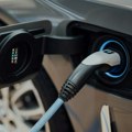 U baterijama kompanija VW, Ford i Tesla nikl iz šuma ugroženih krčenjem?