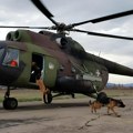 Vojni psi iskakali iz helikoptera i neutralisali "protivnike": Obuka za protivteroristička dejstva vodiča i službenih pasa