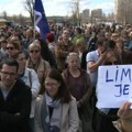 Protest građana Limana zbog izgradnje objekata na zelenoj površini kraj novosadskog Štranda