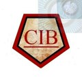 Centar za istraživanje bezbednosti (CIB) obeležio treći rođendan