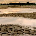 Planeta se zagreva, klimatske promene brinu stručnjake: „Očekujem distopijsku budućnost sa velikim bolom i patnjom“