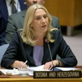 Rešetanje Šmita u SB UN: Od BiH napravio duboko podeljeno društvo