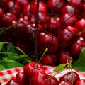 Voćari u gubicima Mraz uništio trešnje, cene neće padati