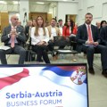 Mesarović: Austrija dugi niz godina jedan od najvažnijih i najpouzdanijih partnera Srbije