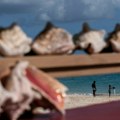Anja na plaži našla školjkice koje nisu bile uobičajene boje: Otkrila je nešto što je veoma retko...