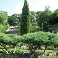 Cene parcela na Fruškoj gori rastu: Kvadrat i do 370 evra