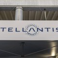 U Stelantisovoj fabrici automobila u Kragujevcu oko 300 stranih radnika