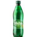 Koja domaća voda je najsličnija Vichy-u?
