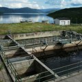Trebinju i Herceg Novom preti ekološka bomba iz Bileće: Evo zašto je "Prečistač otpadnih voda" pred zatvaranjem (video…