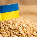 Ukrajina isporučila 8,1 milion tona žitarica od početka godine, ključna luka na Crnom moru koju koristi i Srbija